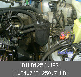 BILD1256.JPG