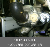 BILD1339.JPG